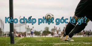 keo-phat-goc-8xbet